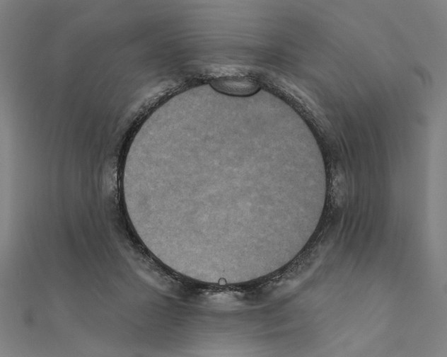 X0000111220407200907301230