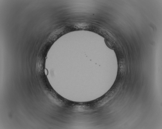 X0000111220408200907301230