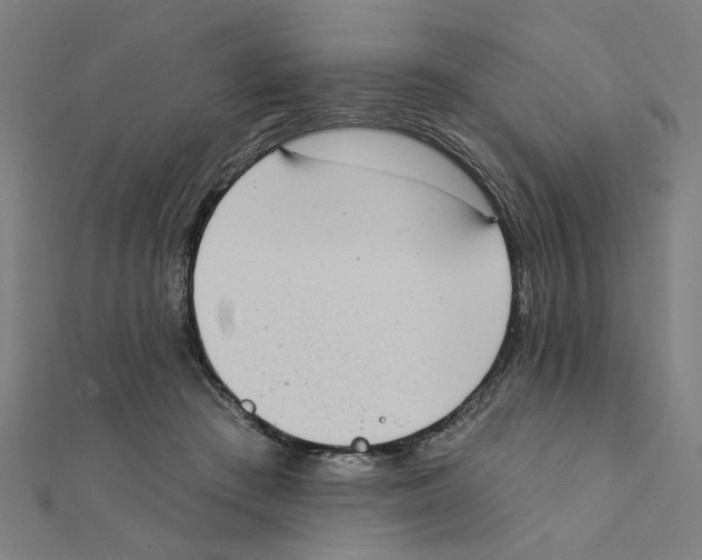 X0000111220409200907301230