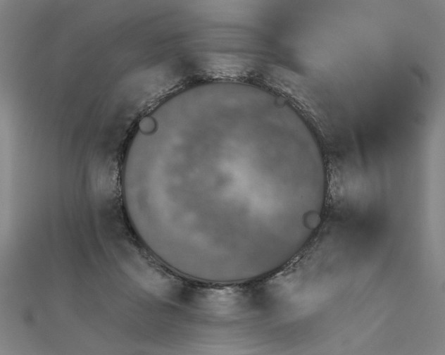 X0000111220411200907301230