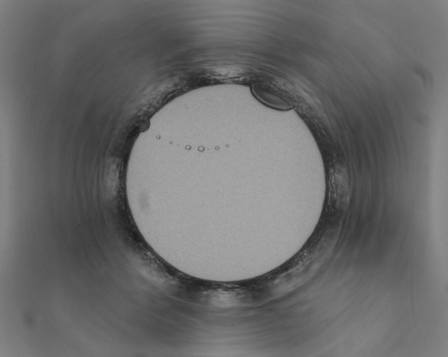 X0000111220412200907301230