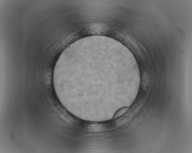 X0000111220413200907301230