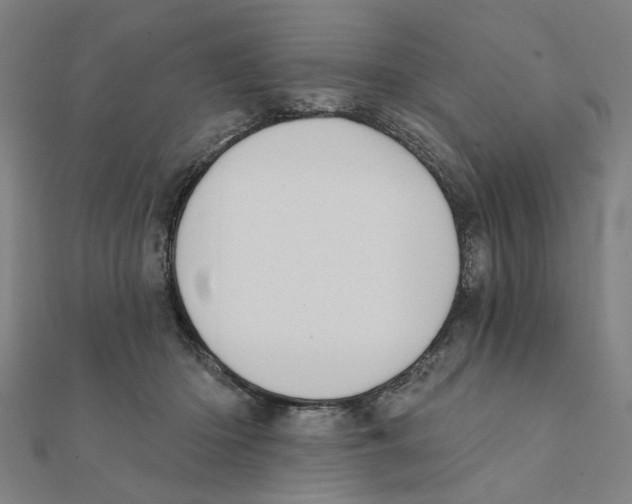 X0000111220414200907301230