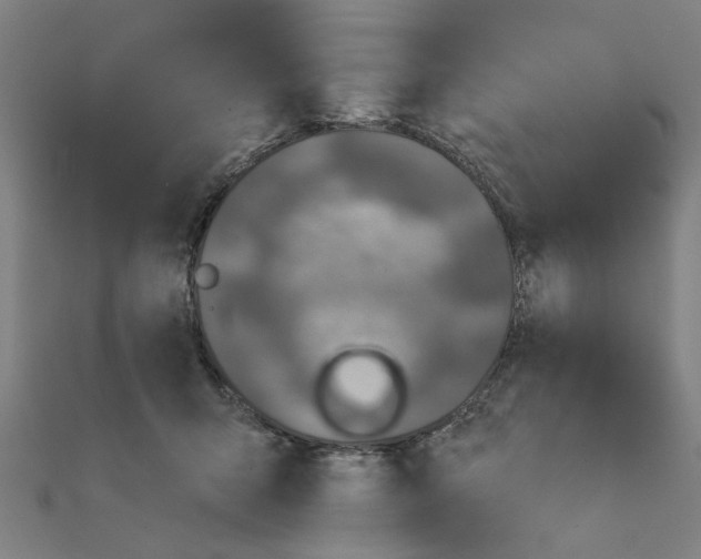 X0000111220415200907301230