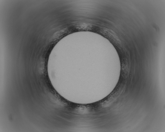 X0000111220416200907301229