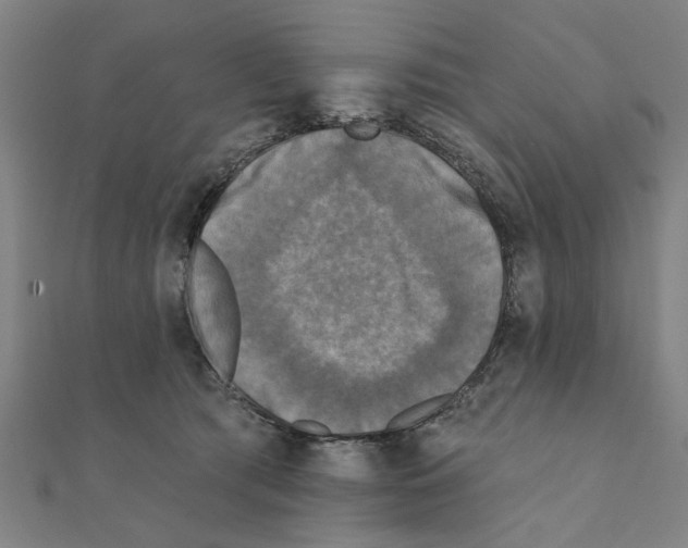 X0000111220417200907301229
