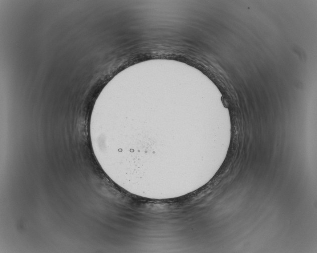 X0000111220419200907301229