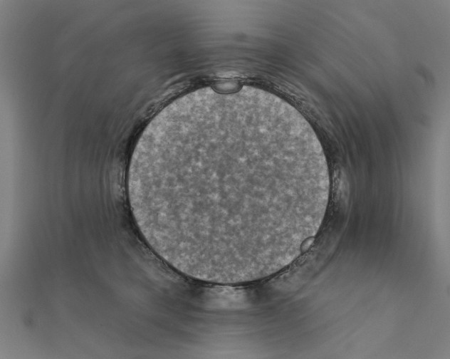 X0000111220421200907301229