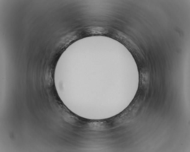 X0000111220422200907301229