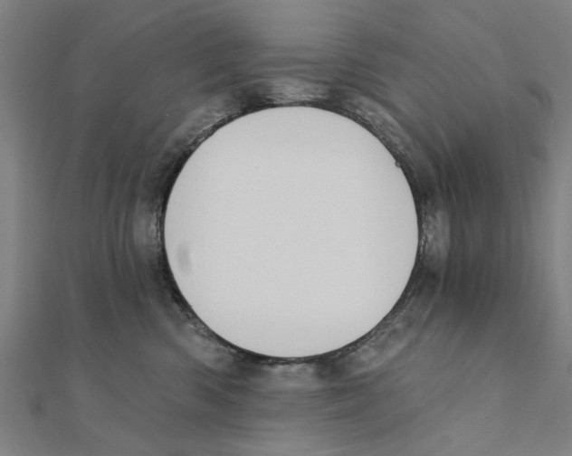X0000111220426200907301229