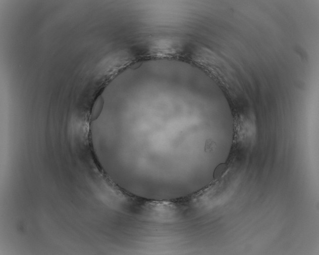 X0000111220427200907301229