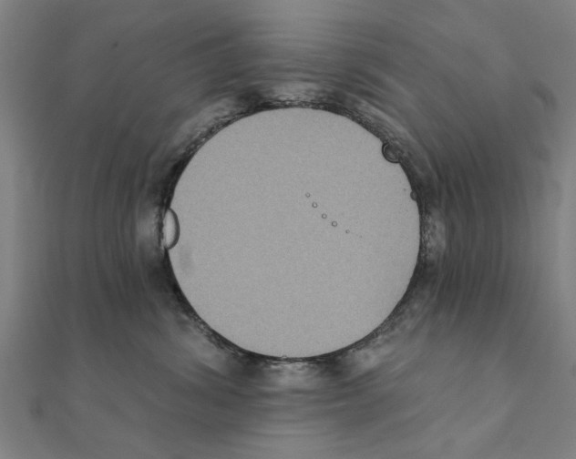 X0000111220428200907301229