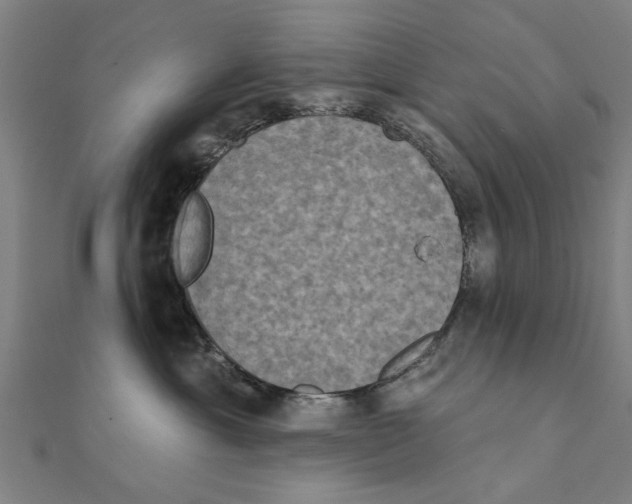 X0000111220429200907301229