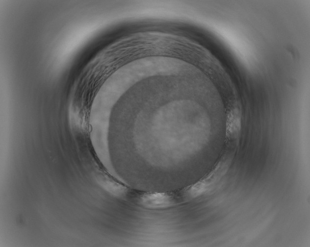 X0000111220431200907301229