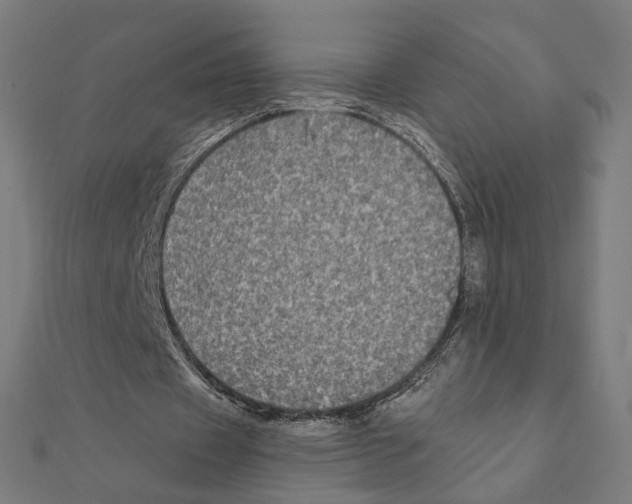 X0000111220433200907301229