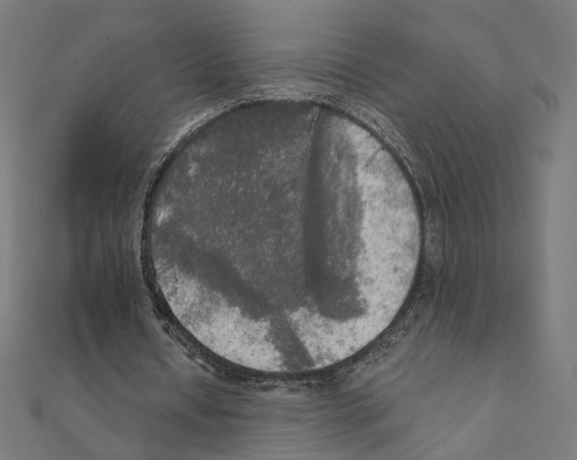 X0000111220434200907301229