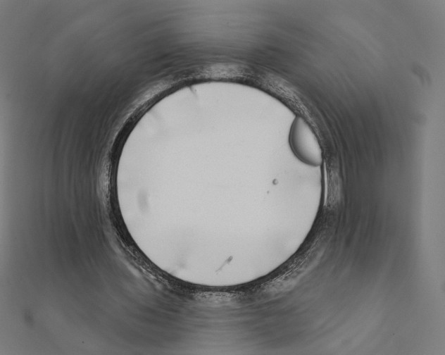 X0000111220435200907301229