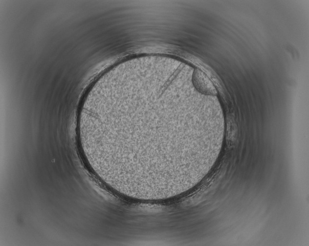 X0000111220437200907301229