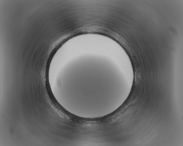 X0000111220438200907301229