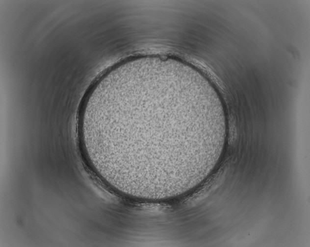 X0000111220439200907301229