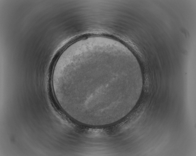 X0000111220440200907301229
