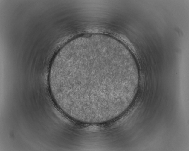 X0000111220441200907301229