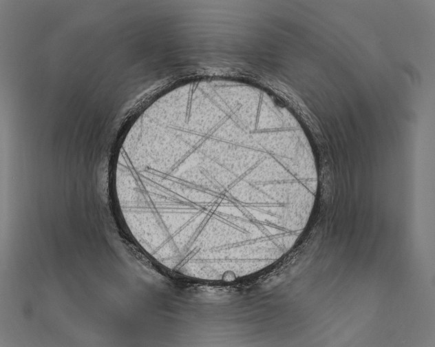 X0000111220442200907301229