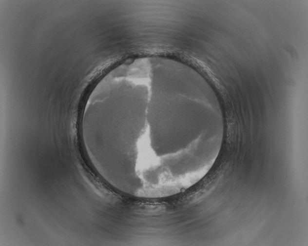 X0000111220443200907301229