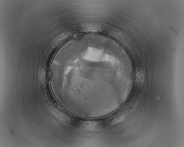 X0000111220444200907301229