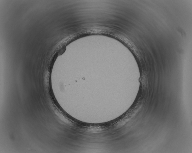 X0000111220445200907301229