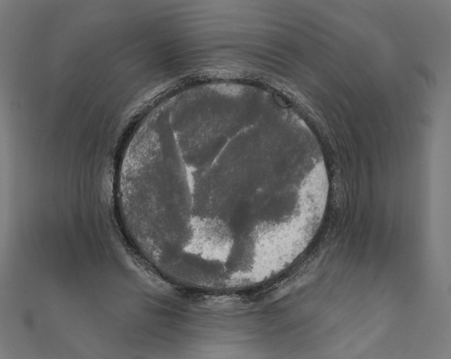 X0000111220446200907301229