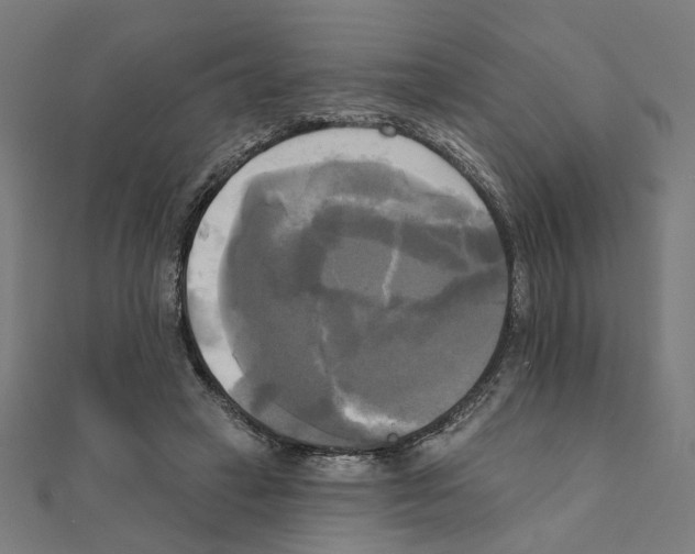 X0000111220449200907301229