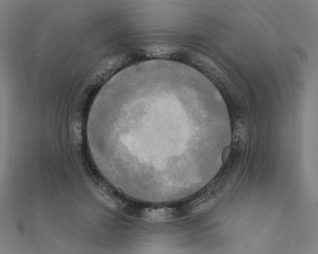 X0000111220452200907301229