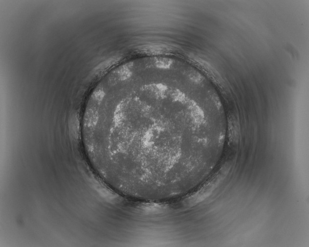 X0000111220453200907301229