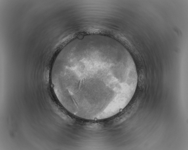 X0000111220454200907301229