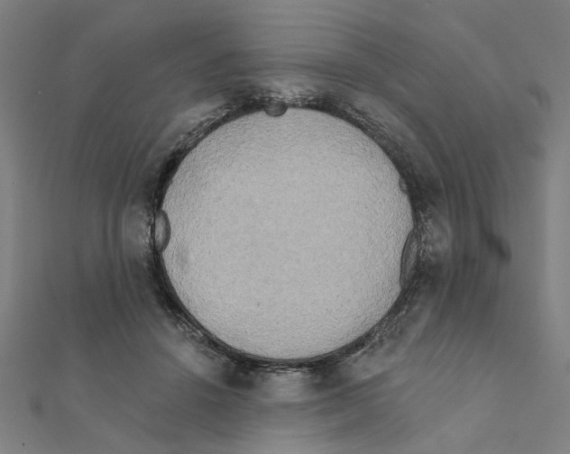 X0000111220456200907301229