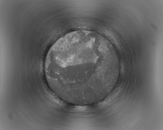 X0000111220457200907301229
