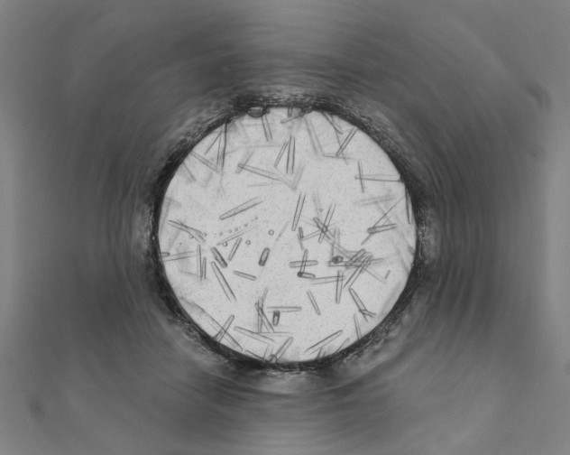 X0000111220458200907301229