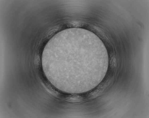 X0000111220459200907301229