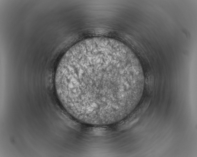X0000111220462200907301229