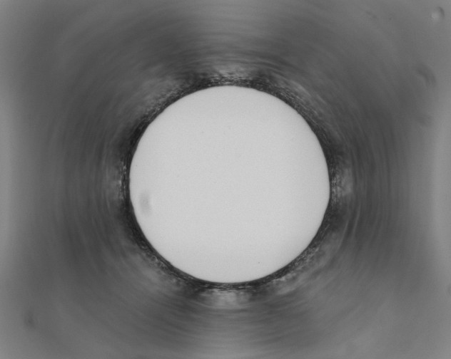 X0000111220464200907301229