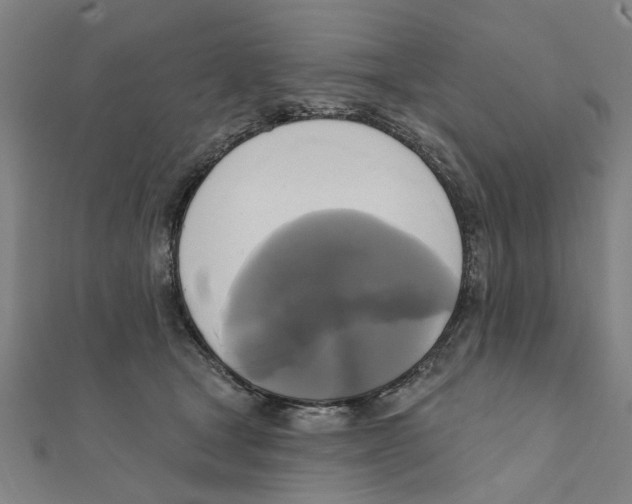 X0000111220465200907301229