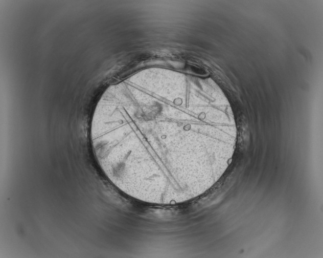 X0000111220466200907301229
