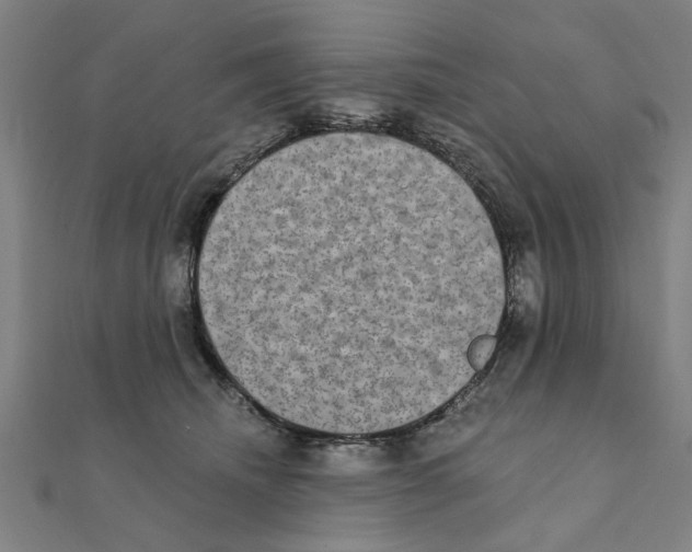 X0000111220468200907301229