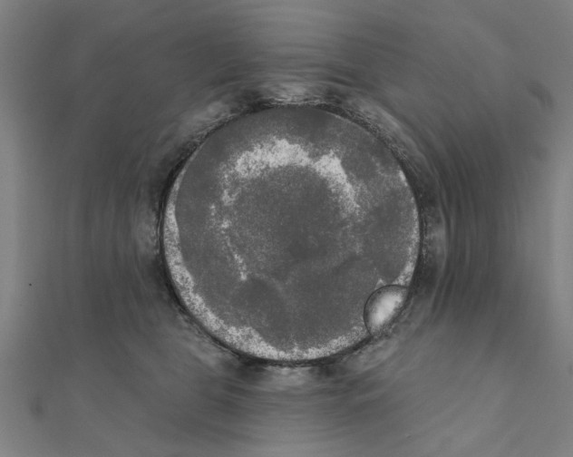 X0000111220469200907301229