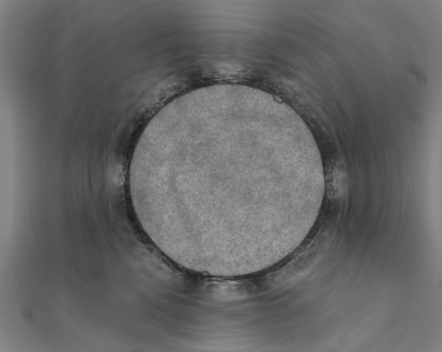 X0000111220472200907301229