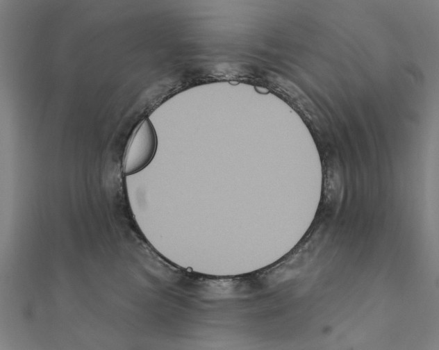 X0000111220473200907301229