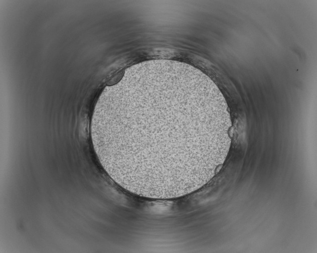 X0000111220474200907301229
