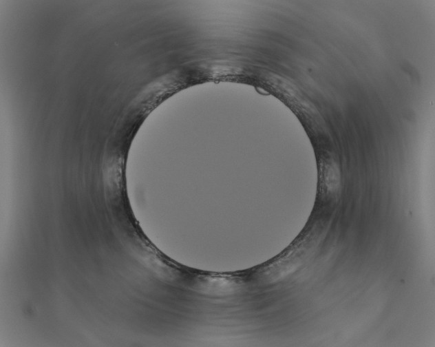 X0000111220475200907301229