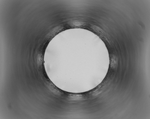 X0000111220476200907301229